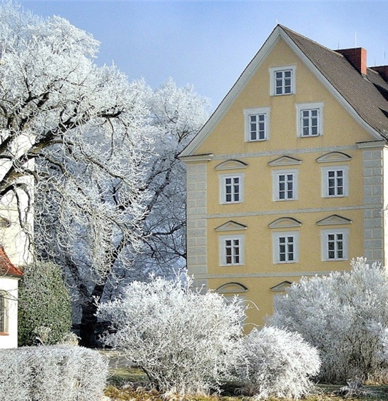 粉象生活能赚到钱吗