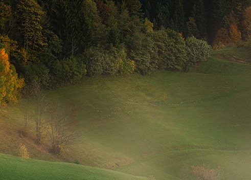 粉象生活招聘人员