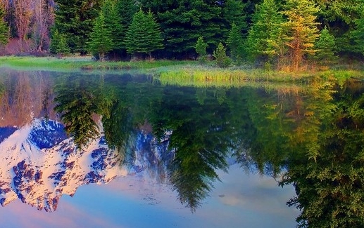 粉象生活购物平台真实吗