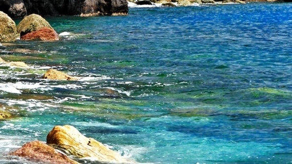 粉象生活是什么?