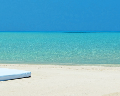 粉象生活app传销