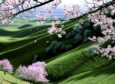 淘宝店家保证金