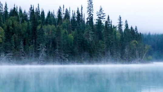应用商店下载粉象生活
