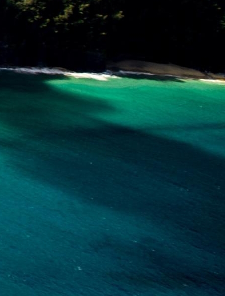 粉象生活能赚到钱吗