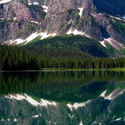 湛江粉象生活赚钱