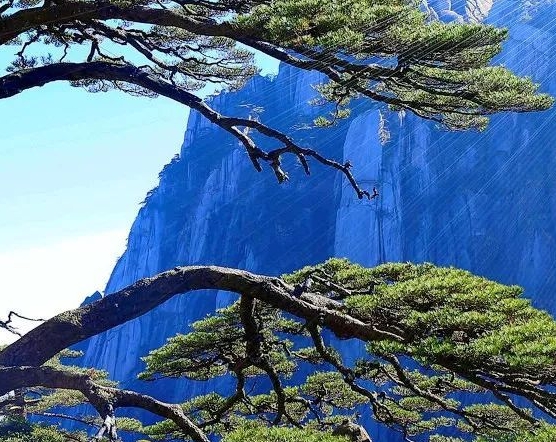 粉象生活做任务的是什么