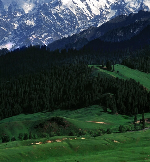 米加小镇生活日常生活