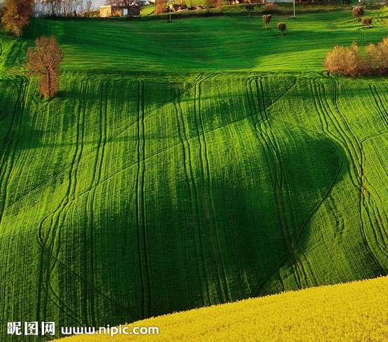 湛江粉象生活使用教程