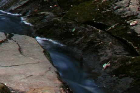 粉象生活手机版有什么用