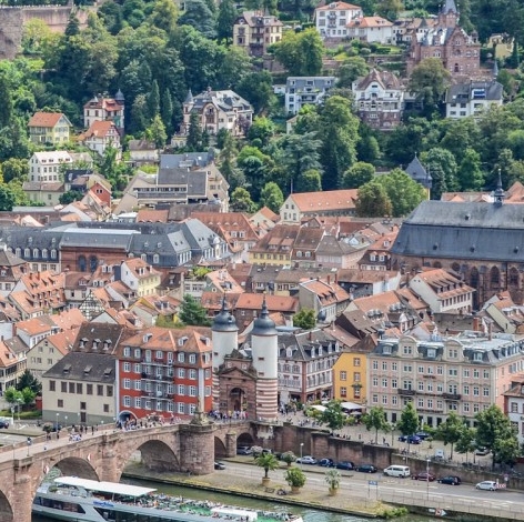 粉象生活假不假