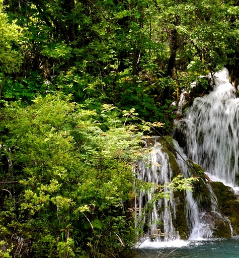 粉象生活使用教程