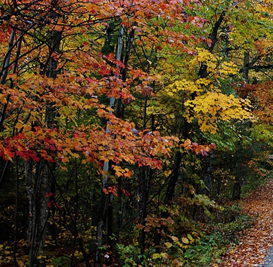 粉象生活注销后无法注册
