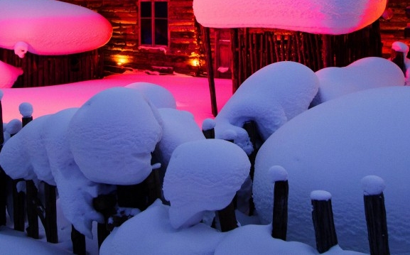 广东粉象生活使用教程