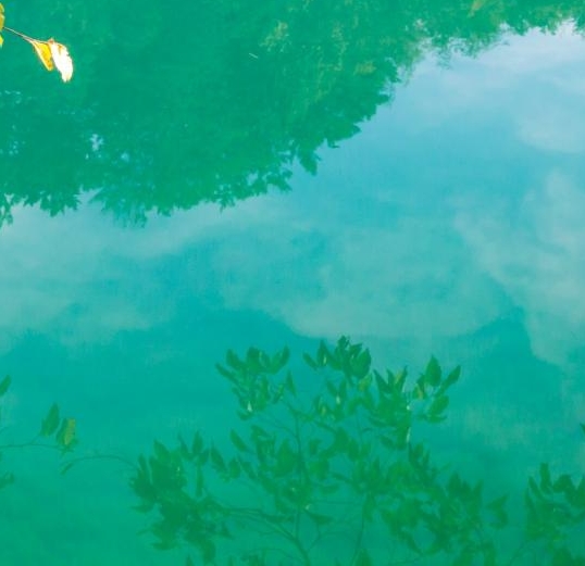 粉象生活别人买东西看得到吗