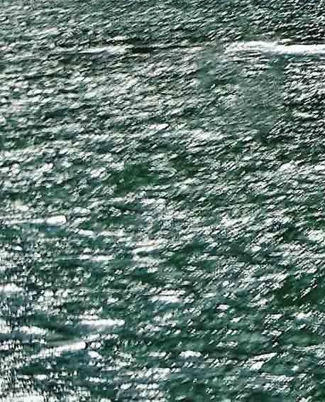 广东粉象生活佣金