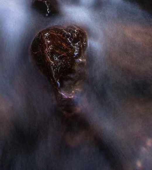 粉象生活如何选择专业