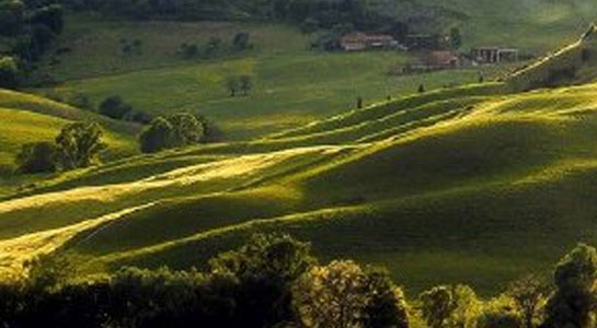 粉象生活分享后怎么没有佣金