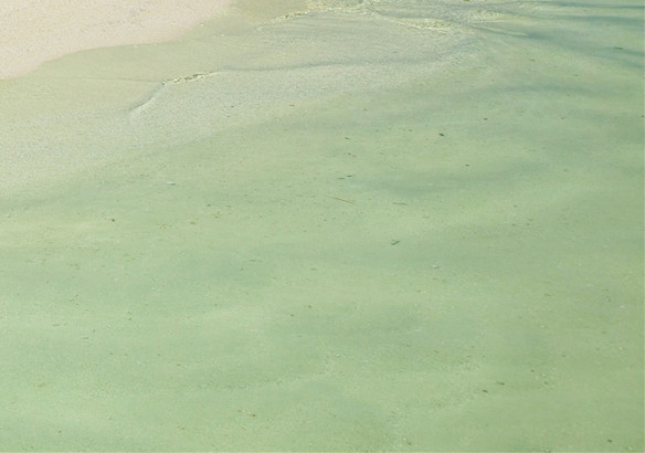 粉象生活官方邀请码怎么登录