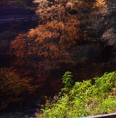 粉象生活可以拿几代佣金