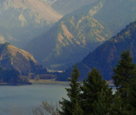 粉象生活赚钱教程