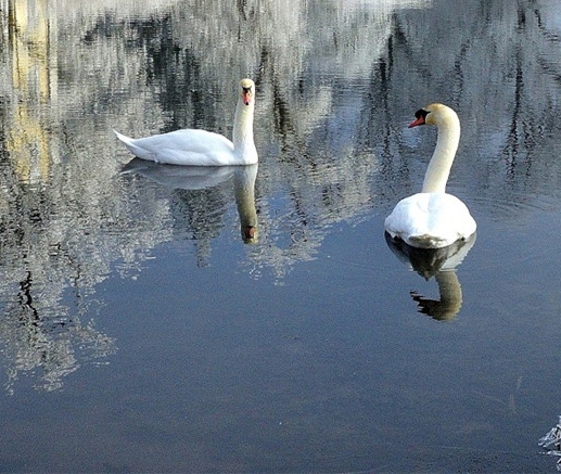学生党记录生活的相机推荐