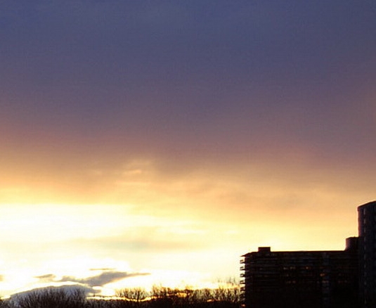 泸州粉象生活vip