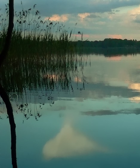 4000的工资怎么生活