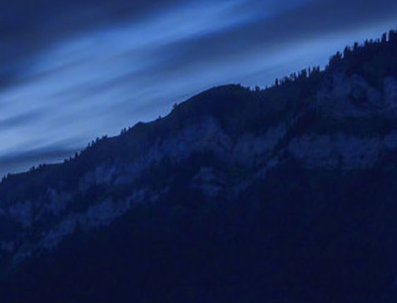 粉象生活招聘专员