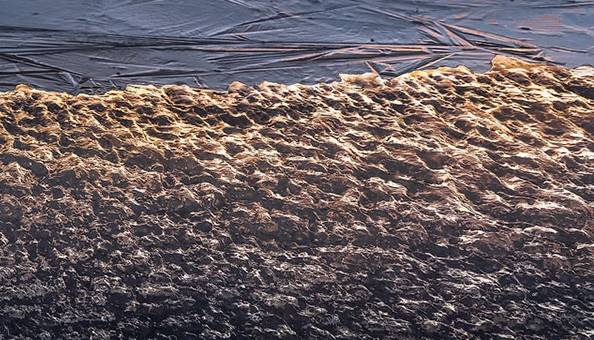 粉象生活要交钱吗