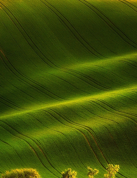 粉象生活操作视频