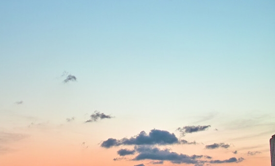 粉象生活张艺文