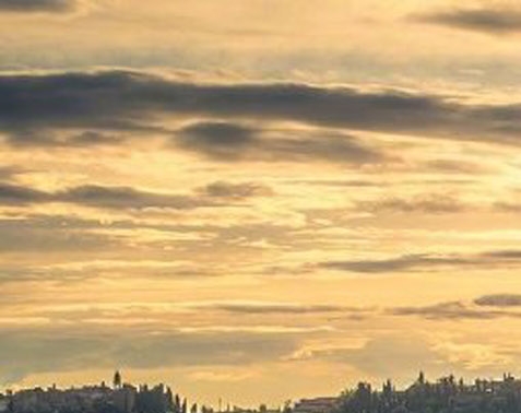 下载粉象生活登录邀请码