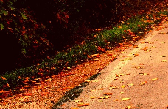 粉象生活能赚到钱吗