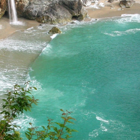 粉象生活提交订单