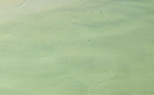 粉象生活和高佣联盟哪个好用