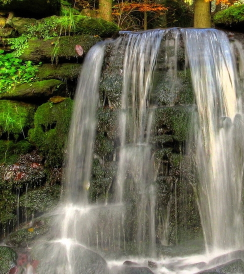 粉象生活合法吗
