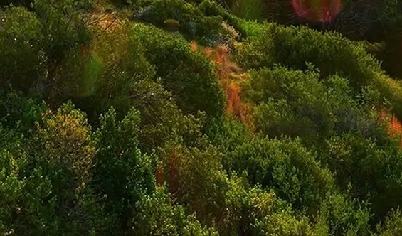 唯品支付怎么关闭