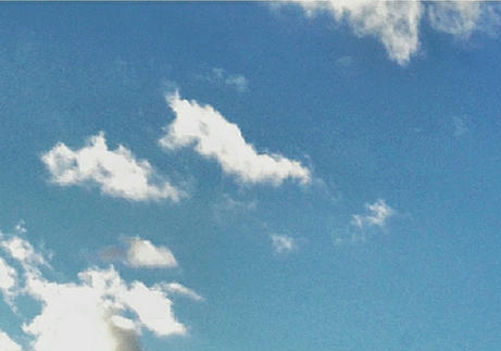 粉象世界app官方下载