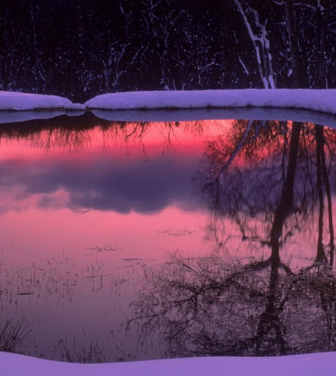 怎么才能粉象生活挣钱