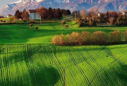 粉象生活邀请码