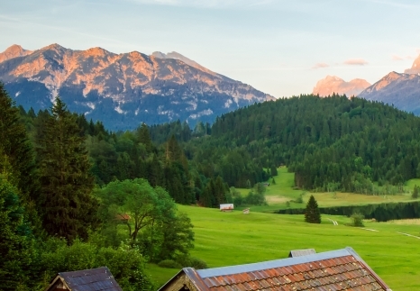 粉象生活能赚到钱吗