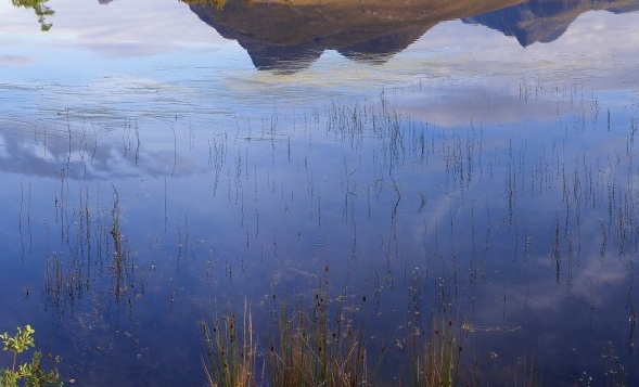 怎样申请粉象生活