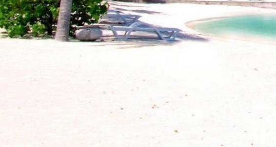 粉象生活拉不到人能赚佣金吗