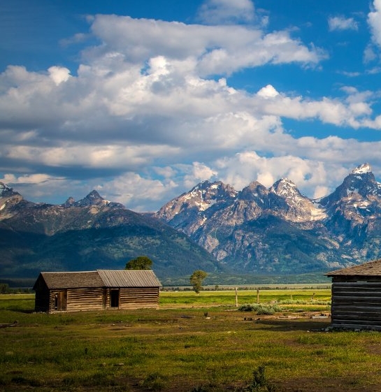 粉象生活早期版本