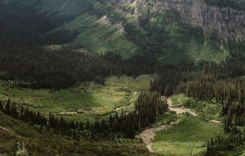 关于粉象生活的新闻