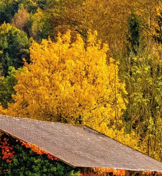青岛冰纷万象滑冰场门票