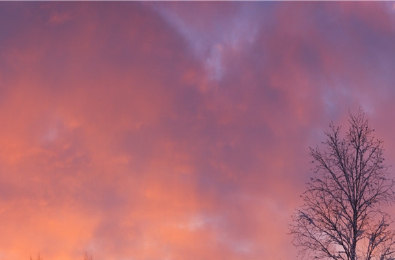 粉象生活怎么赚钱的