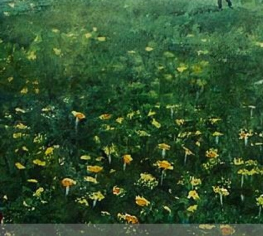 粉象专属粉丝提多少佣金