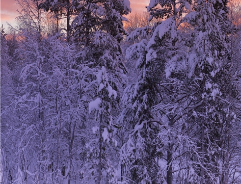 粉象生活app赚钱吗