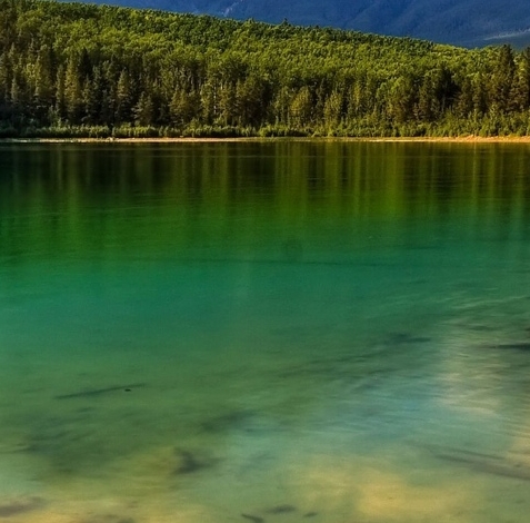 粉象生活合法吗